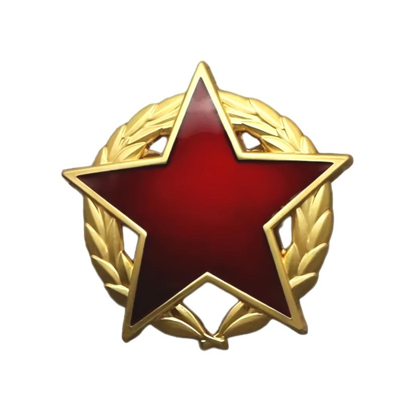 Order of the Partisan Star 2nd class Yugoslavia pin badge military decoration replica